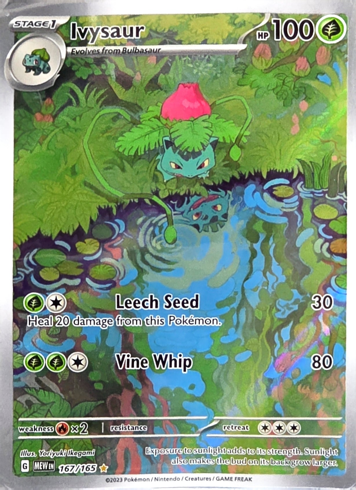 Singles: Pokemon Cards - Ivysaur Illustration Rare 167/165